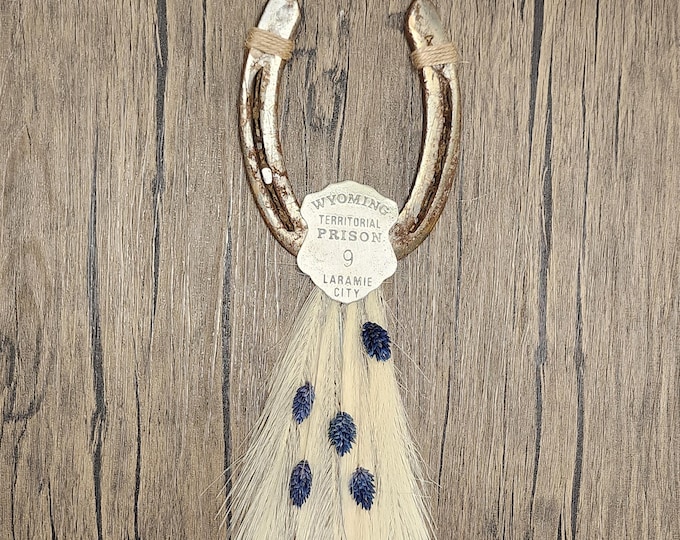 LARAMIE WYOMING Decorative worn horseshoe