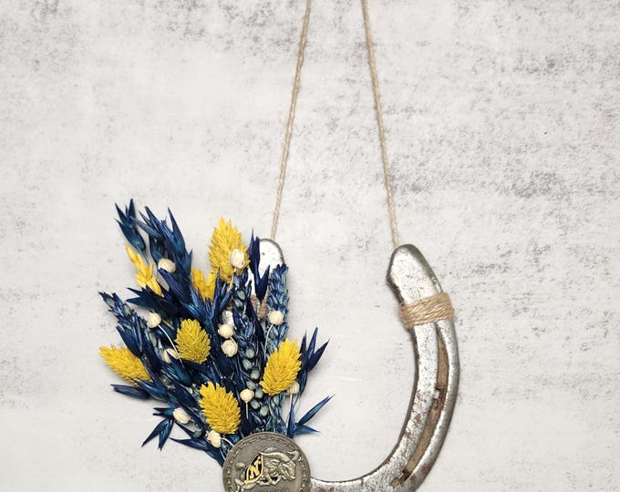 USNA Decorative worn horseshoe