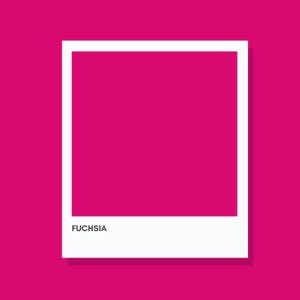 Puede incluir: Un gr&aacute;fico cuadrado de color fucsia enmarcado por un borde blanco, que recuerda a una impresi&oacute;n fotogr&aacute;fica instant&aacute;nea. La palabra FUCHSIA est&aacute; impresa en una fuente negra sans-serif clara en la esquina inferior izquierda del borde blanco.