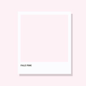 May include: A white framed image with a pale pink background. The text "PALE PINK" is printed in black at the bottom of the frame. The image is set against a pale pink backdrop.