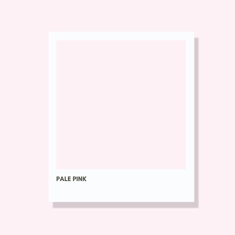 May include: A white framed image with a pale pink background. The text "PALE PINK" is printed in black at the bottom of the frame. The image is set against a pale pink backdrop.