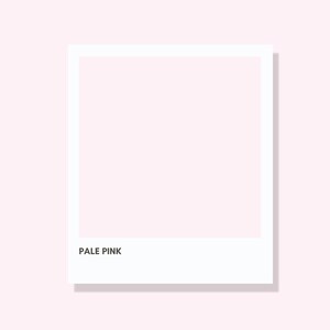 May include: A white framed image with a pale pink background. The text "PALE PINK" is printed in black at the bottom of the frame. The image is set against a pale pink backdrop.