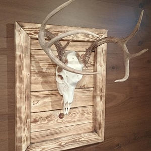BIG Rustic Euro Mount Plaque