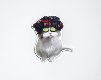 Cute Ragdoll Cat Vinyl Sticker / Illustration Sticker / Waterproof Sticker / Gift For Cat Lover