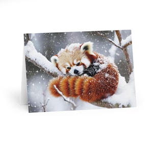 Adorable Red Panda Greeting Card Set, Perfect For Winter Well Wishes