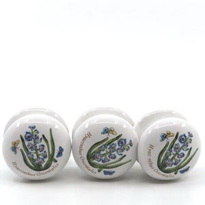May include: White ceramic cabinet knobs with a floral design featuring blue flowers, green leaves, and butterflies. The knobs are labeled "Hyacinthus Orientalis". These decorative knobs add a touch of nature to any furniture.