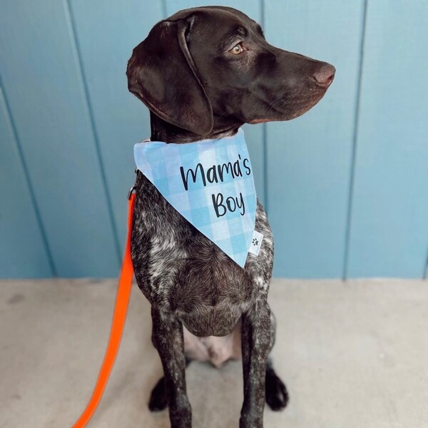 Dog Bandana • Customized Dog Bandana • Personalized Dog Bandana • Gift for Dog • Slip Over Collar • Dog Accessories • Bandana