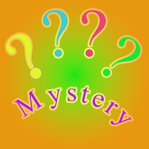 Mystery Yarn Bag