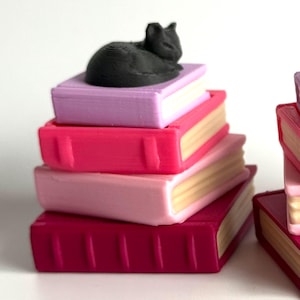 Black Cat Pink Book Stack Clicker Keychain