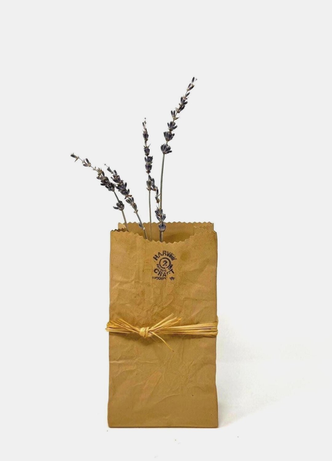 1980s Michael Harvey (canada) Craft #2 Ceramic Paper Bag Vase