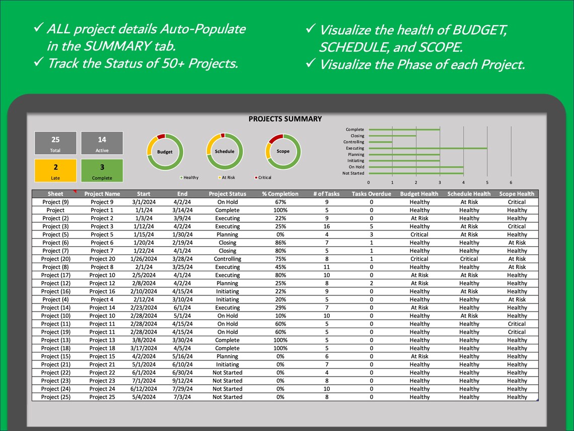 Project Task Excel Workbook Simple Multi Project Tracker | Excel Spreadsheet for Project Management ...