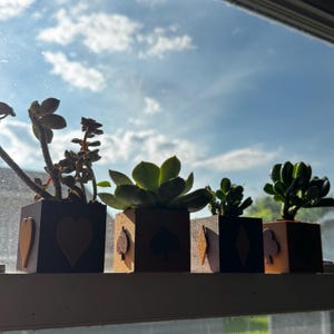 May include: Four small wooden planters with succulents sit on a windowsill. Each planter is a cube with a playing card suit symbol on the front: heart, spade, diamond, and club. The plants have green and brown leaves.