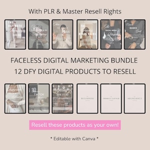 PLR Ebook Bundle, 12 Done For You  PLR Guides, Instagram, Digital Products, Editable Canva Templates, Faceless Digital Marketing, MRR