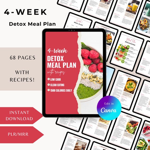 28 Days - 4 Week Detox Meal Plan, PLR, MRR, Healthy Weight Loss Meal Plan, Low Carb Meal Plan, Weight Loss Plan, Recipes, Printable, DFY