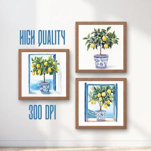 May include: Three framed watercolor prints of lemon trees in blue and white pots. The prints are in wooden frames and are displayed against a white wall. The text "HIGH QUALITY" and "300 DPI" are visible.