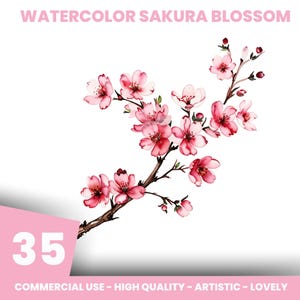 Watercolor Cherry Blossom Clipart: 45 Sakura Branch PNGs (Digital Download, Commercial Use)