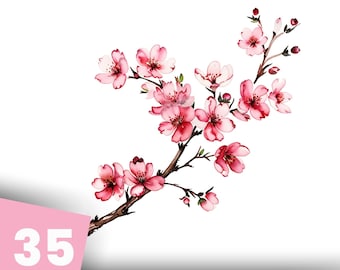 Cherry Blossom Branch Clipart, 45 Watercolor Sakura PNGs For Wedding Decor And Spring Art, Printable, Digital Download, Commercial Use
