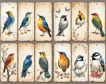 Efímeras de aves vintage, tarjetas imprimibles de aves, etiquetas para diarios basura (descarga digital)