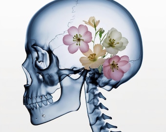 12 Whimsical Floral Skull Clipart | Watercolor Gothic Cottagecore Print | Digital Download