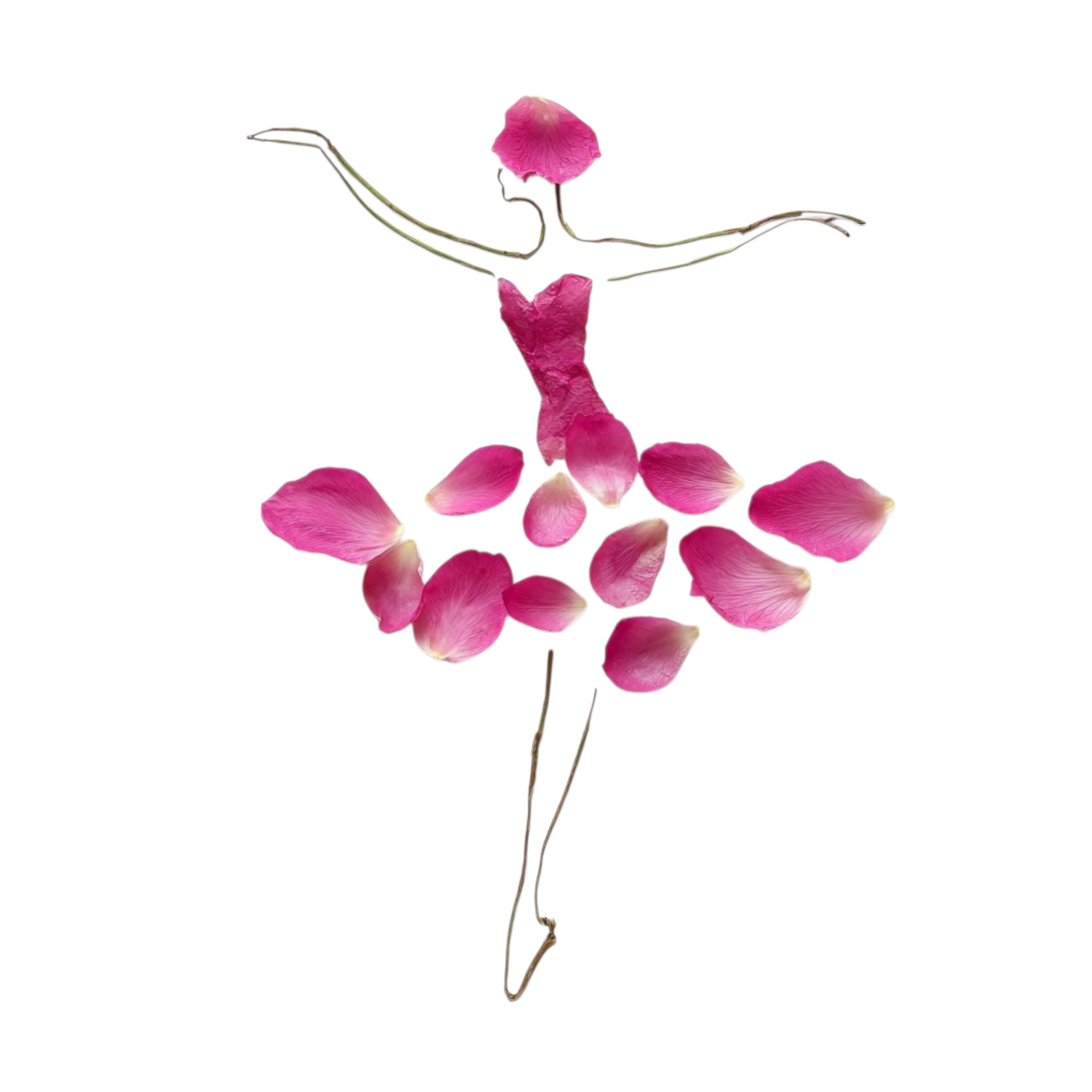 15 Floral Ballerina Clipart : Elegant Petal Dance Art for Designers - Etsy