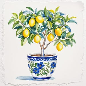 May include: Watercolor illustration of a lemon tree in a decorative blue and white pot. The tree has bright yellow lemons and green leaves. The pot is adorned with blue floral patterns, creating a vibrant and cheerful image.