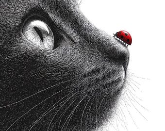Whimsical Cat and Ladybug Clipart: Black & White Line Art (11 JPG Digital Download)