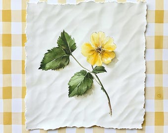 May include: Watercolor painting of a yellow flower with green leaves on a white, textured paper. The paper has a torn edge and is set against a yellow and white checkered background. The flower's petals are a vibrant yellow, and the leaves are a deep green.