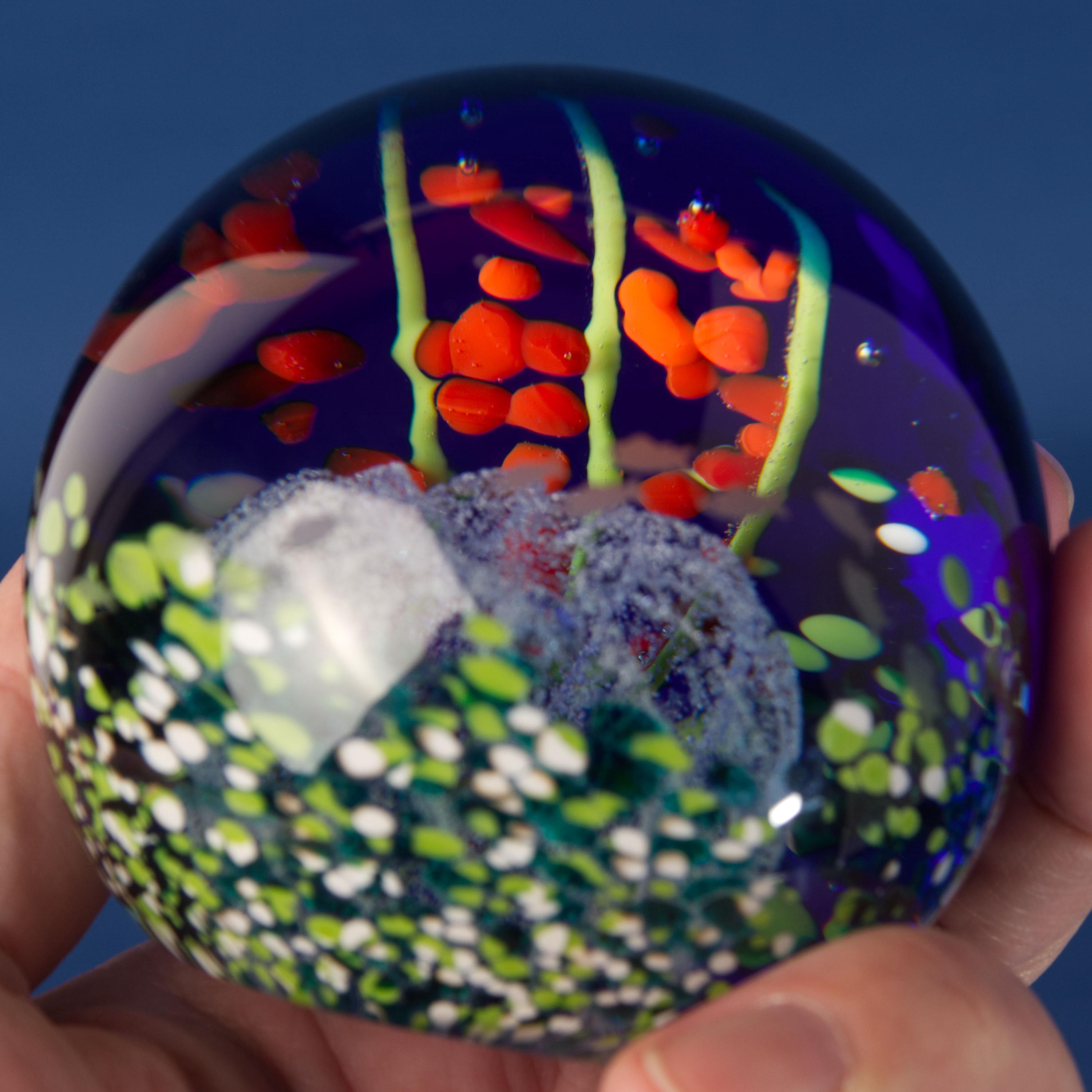 Caithness Glass Paperweight - Etsy