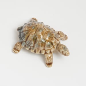 May include: A small ceramic turtle figurine featuring a glossy finish with a detailed shell pattern in shades of brown, tan, and cream. The turtle has a textured surface on its head and flippers, with a smooth, rounded shell and a realistic shape.