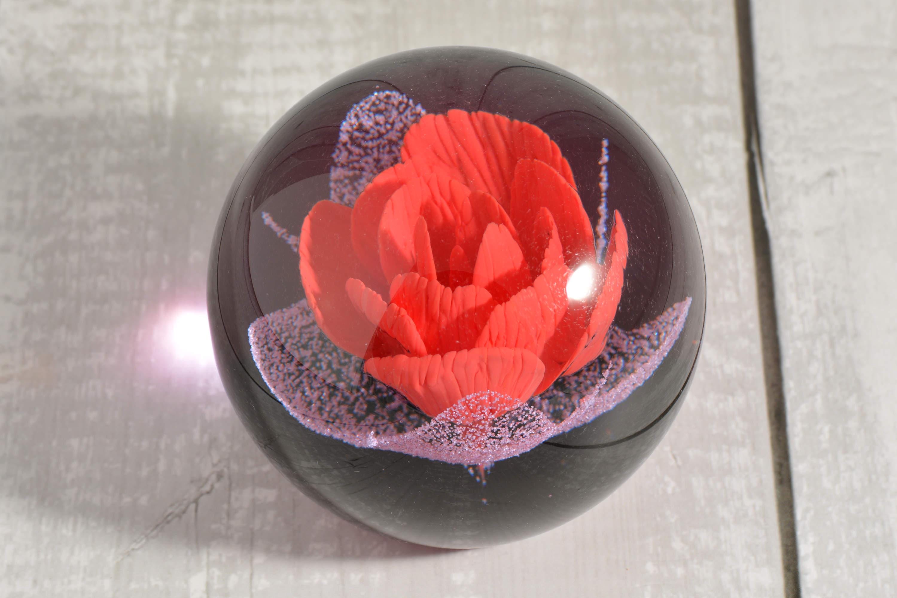 Caithness paperweights limited edition - Etsy 日本