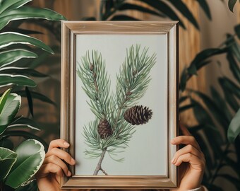 Könnte beinhalten: Eine gerahmte botanische Illustration eines Kiefernastes mit zwei Zapfen. Der Ast ist grün und die Zapfen sind braun. Der Rahmen ist aus hellem braunem Holz.
