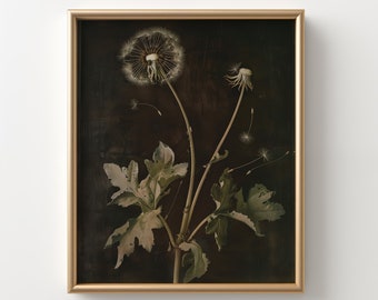 PRINTABLE Dandelion Oil Painting | Moody Themed Vintage Flower Print | Farmhouse Flower Painting | Dark Dandelion Print | Antique Botanical