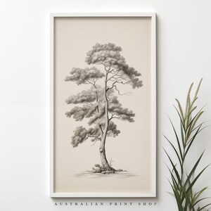 Op de afbeelding: Een zwart-witte illustratie van een boom in een eenvoudig frame met een beige achtergrond. De tekst "AUSTRALIAN PRINT SHOP" staat onderaan het frame.
