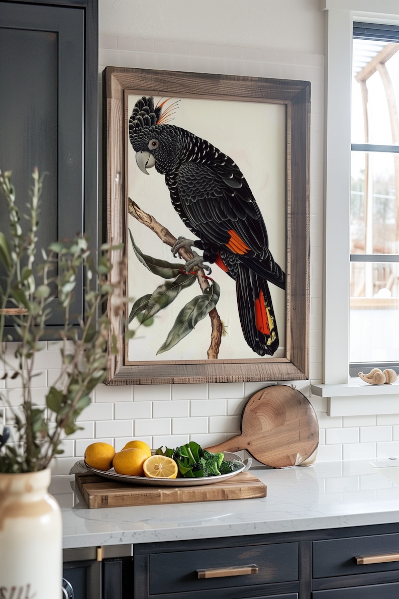Red tailed Black Cockatoo Painting Western Australia Native Bird red-tailed-black-cockatoo-painting-western-australia-native-bird