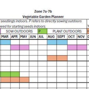 Printable Color Coded Zone 7 Vegetable Planting Schedule - Etsy