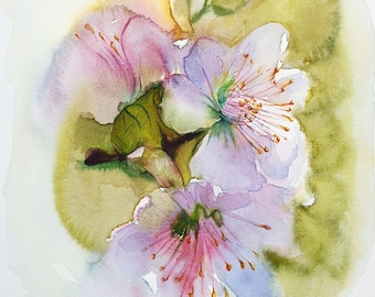 Apfelblüte. Original Aquarellmalerei. Ungerahmt. 30x30cm