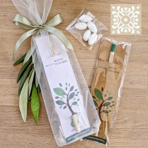 Bomboniera matita piantabile, con semi, matita fiori, erbe aromatiche, regalo originale ospiti, compleanno, comunione, festa, matita gadget