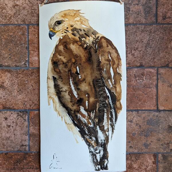 Watercolor wall art - red tailed Hawk painting. Original watercolor bird for aesthetic room decor and bird lover gift