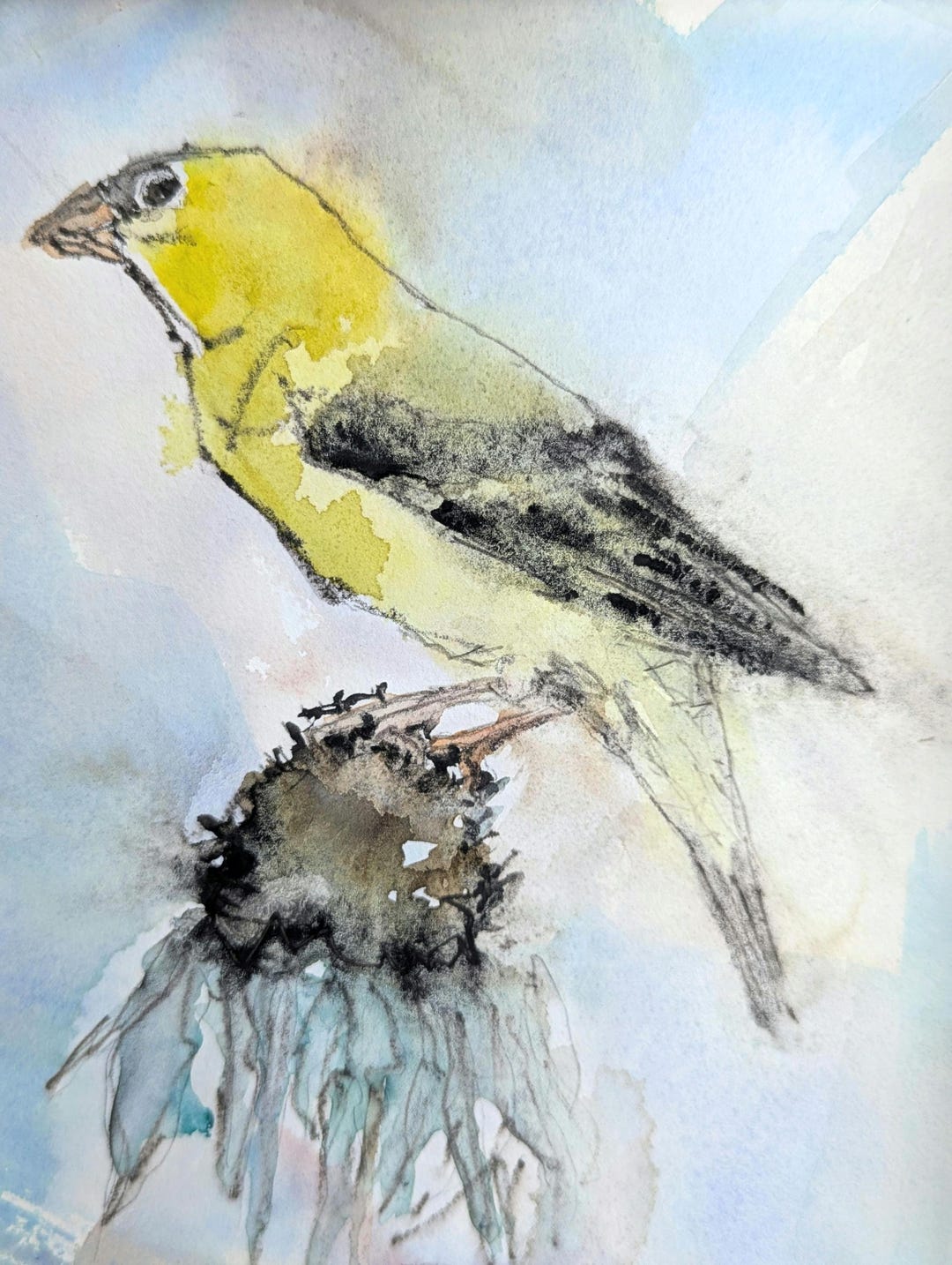 Original American Goldfinch Watercolor – Framed Bird Wall Art - Etsy