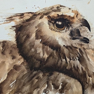 Arte di uccelli ad acquerello - decorazione da parete con gufo reale di roccia incorniciata. Opera d'arte originale fatta a mano per l'arredamento della casa e idea regalo per gli amanti degli uccelli