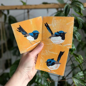 Hand-Painted Fairy-Wren Magnet Set: Acrylic Bird Art