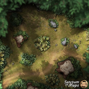 FOREST PATH Karte, DnD Karte, D&D, Tabletop, Map, 5e, Roll20, Fiction, VTT, Digitale Karte