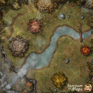 SPIDER FOREST Karte, DnD Karte, D&D, Spielkarte, 5e, Roll20, gießer, Digitale Karte