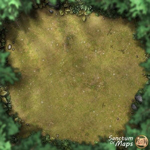 FLOWER FIELD Battle Map, DnD Battle Map, D&D, Battlemap, Dungeons and Dragons, 5e, Roll20, Foundry, VTT, Digitale kaart