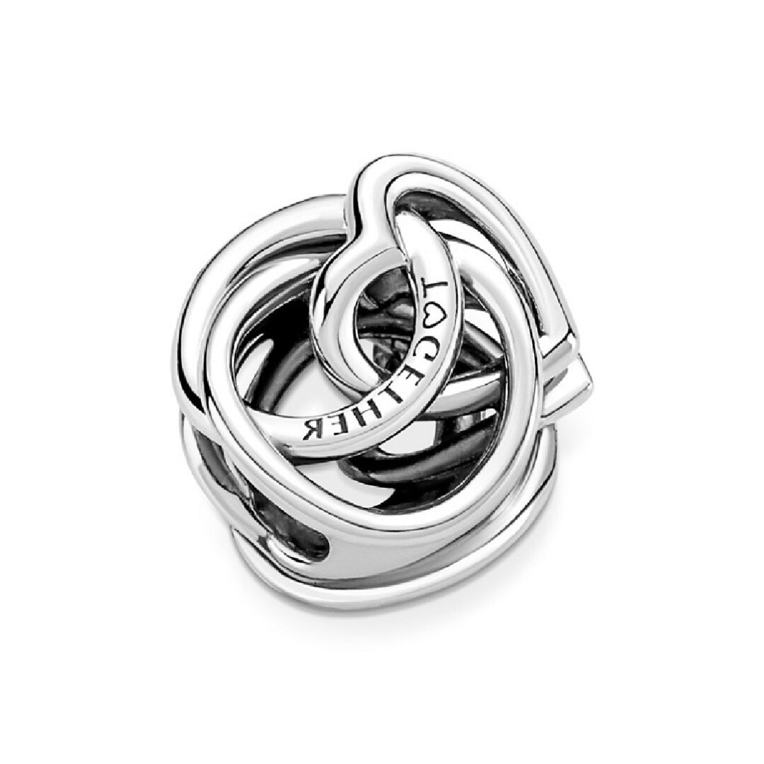 Family Always Encircled Heart Charm Sparkling Family Charms Celebrate ...