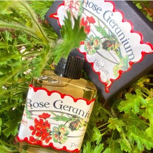 Rose Geranium Perfume Oil - Etsy