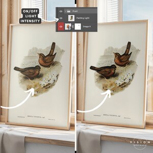 May include: A framed print of a vintage illustration of two brown birds perched on a branch with white flowers. The print is titled "MERTLA VISTINCES" and is displayed on a wooden shelf with a white fabric draped over the edge.