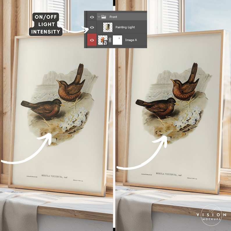 May include: A framed print of a vintage illustration of two brown birds perched on a branch with white flowers. The print is titled "MERTLA VISTINCES" and is displayed on a wooden shelf with a white fabric draped over the edge.
