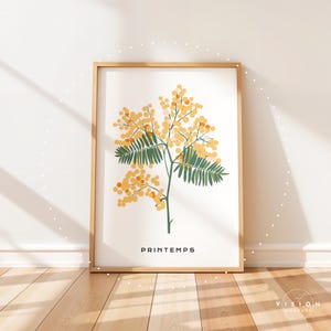 May include: A framed print of a yellow mimosa flower with green leaves. The print has the word "Printemps" written in black at the bottom.