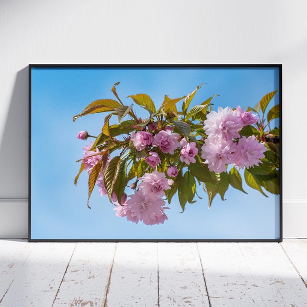 Sakura Flowers Wall Art Photography. Blooming Sakura Branch Close-up. Printable Wall Art. Home Decoration. Digital Download.